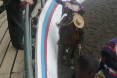 Serie Criaderos rodeo club Longaví