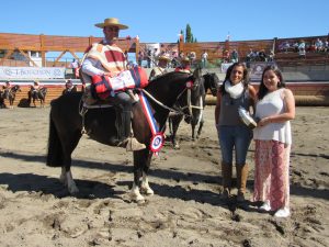 Sello de Raza yegua Bellota, Rodeo club Linares noviembre 2019
